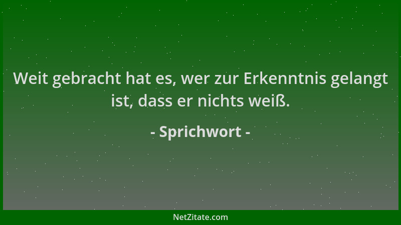 Sprichwort - Weit gebracht hat es, wer zur Erkenntnis gelangt ist, dass er nichts weiß....