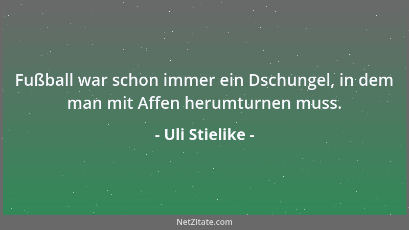 Uli Stielike - Mal ist die Suppe dick, mal ist sie dünn, nur wenn nichts Flüssiges drin ist, gibt es einen ätzenden Geruch....