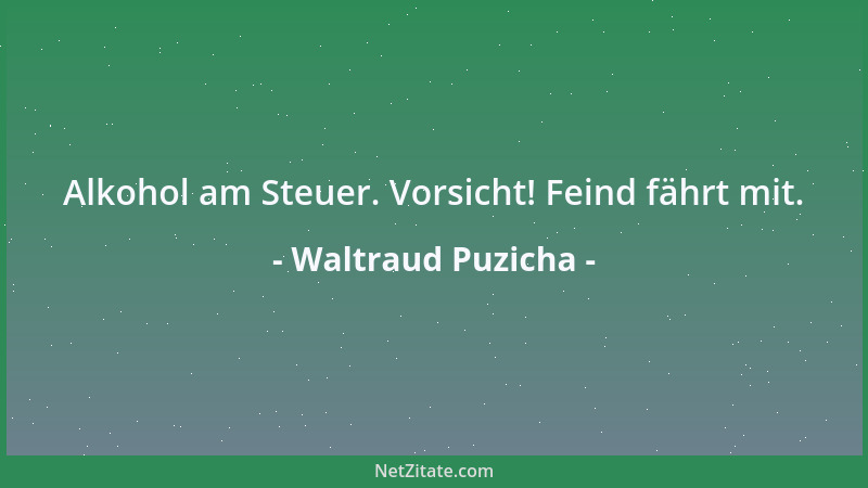 Waltraud Puzicha - Alkohol am Steuer. Vorsicht! Feind fährt mit....