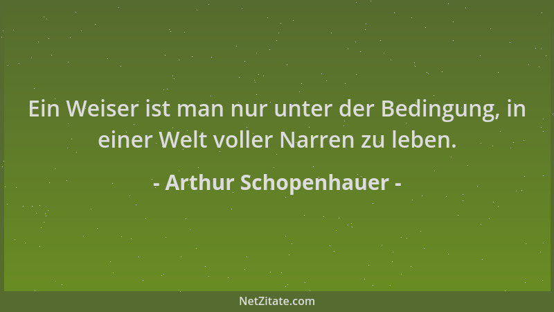 Arthur Schopenhauer - Ein Weiser ist man nur unter der Bedingung, in einer Welt voller Narren zu leben....