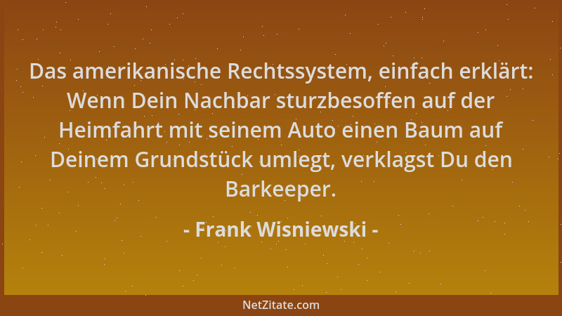 Frank Wisniewski - Das amerikanische Rechtssystem, einfach erklärt: Wenn Dein Nachbar sturzbesoffen auf der Heimfahrt mit s...