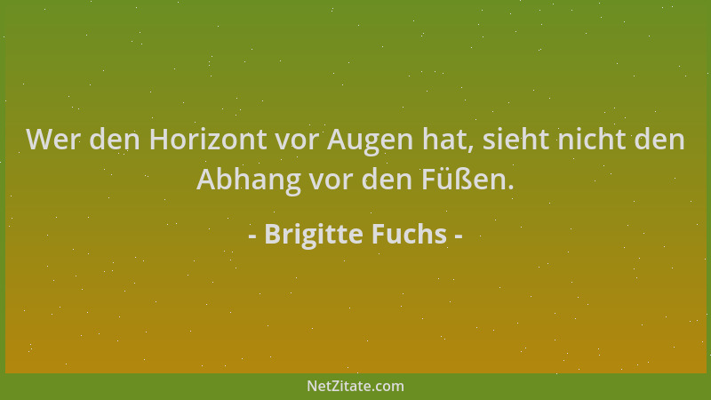 Brigitte Fuchs - Wer den Horizont vor Augen hat, sieht nicht den Abhang vor den Füßen....