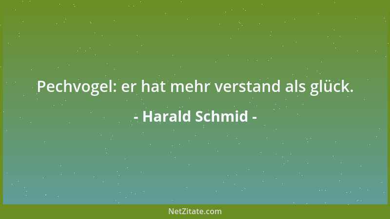 Harald Schmid - Pechvogel: er hat mehr verstand als glück....