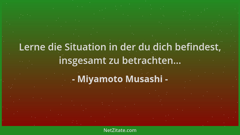 Miyamoto Musashi - Lerne die Situation in der du dich befindest, insgesamt zu betrachten......