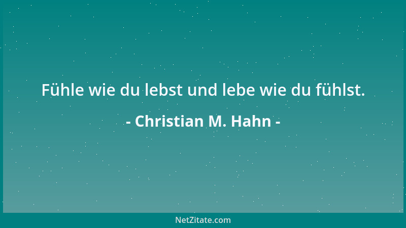 Christian M. Hahn - Fühle wie du lebst und lebe wie du fühlst....