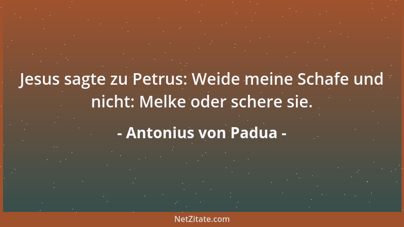 Antonius von Padua - Jesus sagte zu Petrus: Weide meine Schafe und nicht: Melke oder schere sie....