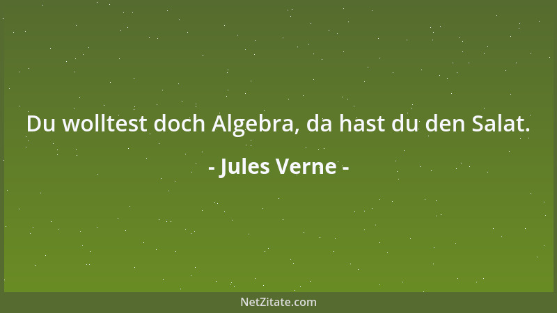 Jules Verne - Du wolltest doch Algebra, da hast du den Salat....