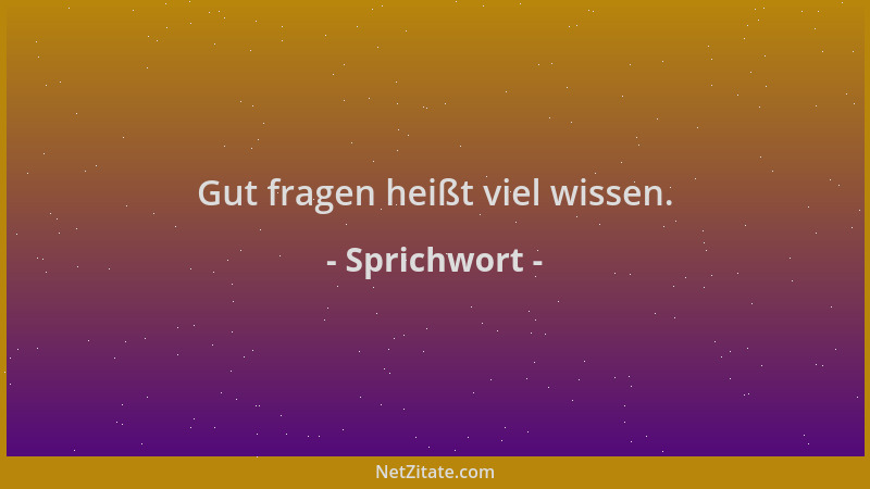 Sprichwort - Gut fragen heißt viel wissen....
