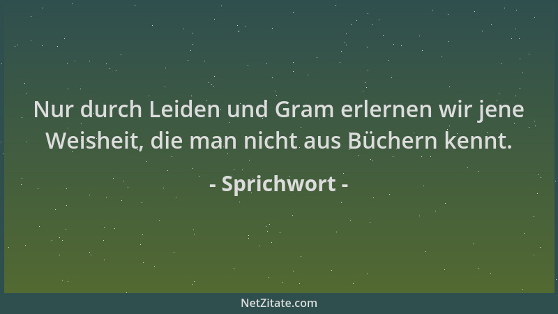 Sprichwort - Nur durch Leiden und Gram erlernen wir jene Weisheit, die man nicht aus Büchern kennt....