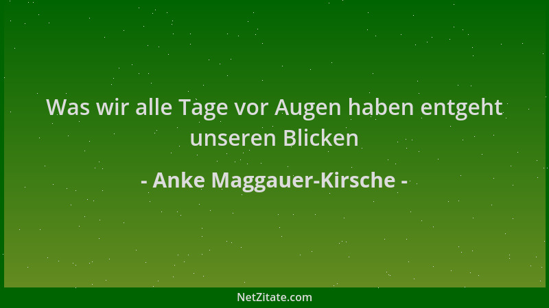 Anke Maggauer-Kirsche - Was wir alle Tage vor Augen haben entgeht unseren Blicken...