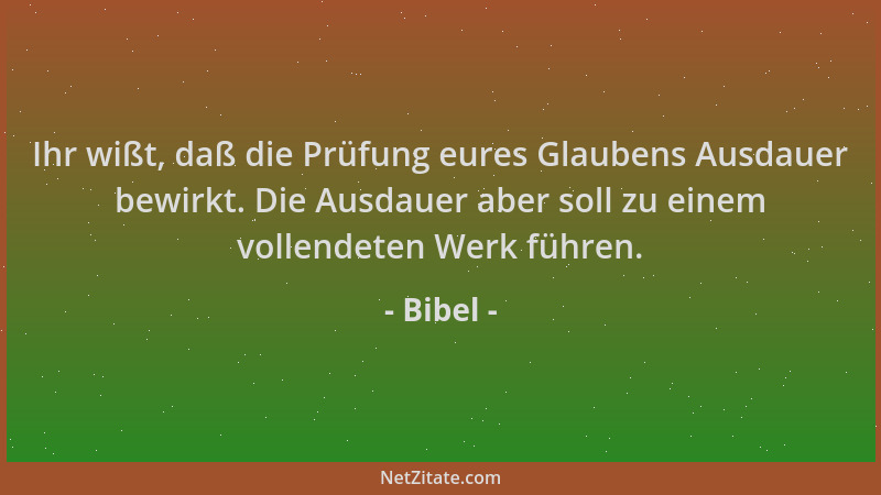 Bibel - Ihr wißt, daß die Prüfung eures Glaubens Ausdauer bewirkt. Die Ausdauer aber soll zu einem vollendeten Werk führen....