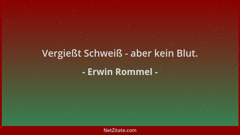 Erwin Rommel - Vergießt Schweiß - aber kein Blut....
