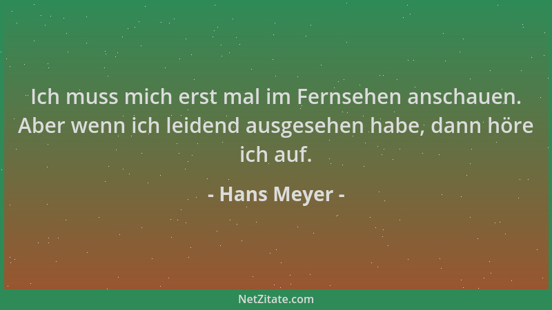 Hans Meyer - Ich muss mich erst mal im Fernsehen anschauen. Aber wenn ich leidend ausgesehen habe, dann höre ich auf....