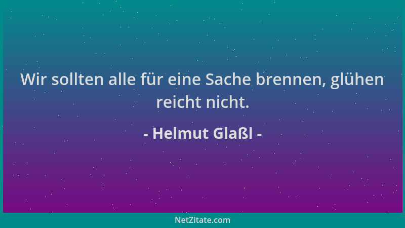 Helmut Glaßl - Wir sollten alle für eine Sache brennen, glühen reicht nicht....