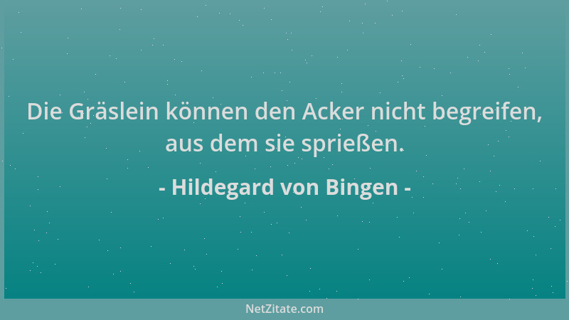 Hildegard von Bingen - Die Gräslein können den Acker nicht begreifen, aus dem sie sprießen....