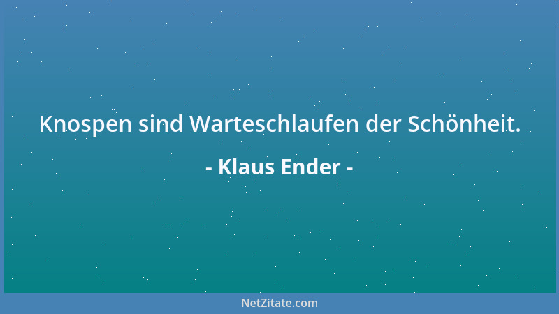 Klaus Ender - Knospen sind Warteschlaufen der Schönheit....