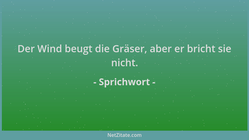 Sprichwort - Der Wind beugt die Gräser, aber er bricht sie nicht....
