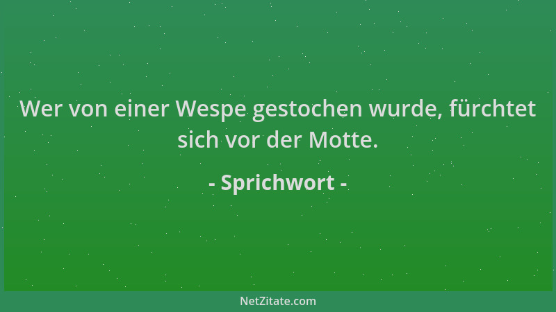 Sprichwort - Wer von einer Wespe gestochen wurde, fürchtet sich vor der Motte....