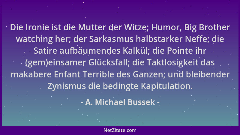 A. Michael Bussek - Die Ironie ist die Mutter der Witze; Humor, Big Brother watching her; der Sarkasmus halbstarker Neffe;...