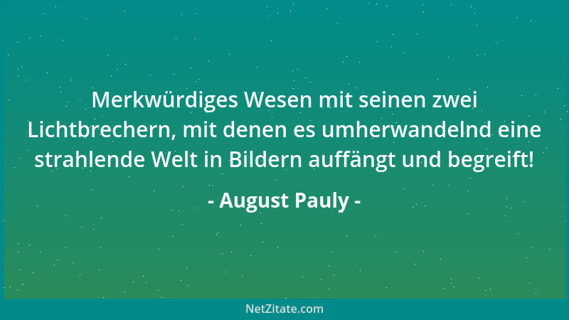 August Pauly - Merkwürdiges Wesen mit seinen zwei Lichtbrechern, mit denen es umherwandelnd eine strahlende Welt in Bildern...