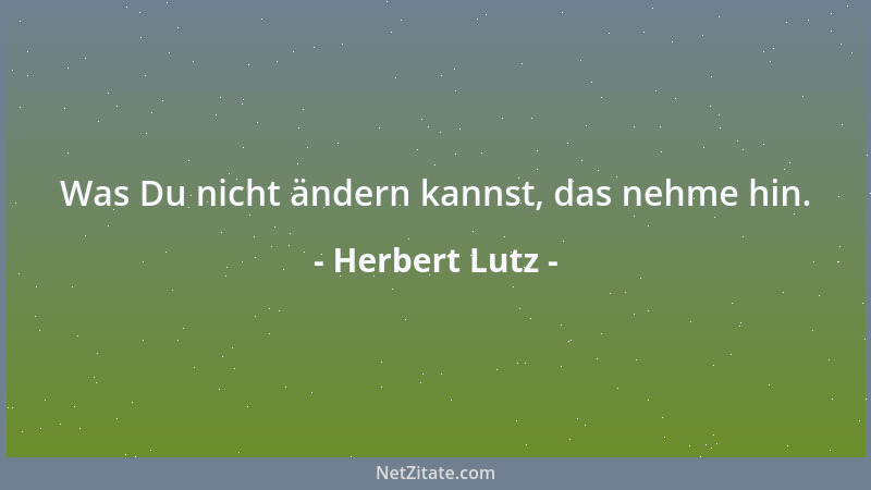 Herbert Lutz - Was Du nicht ändern kannst, das nehme hin....
