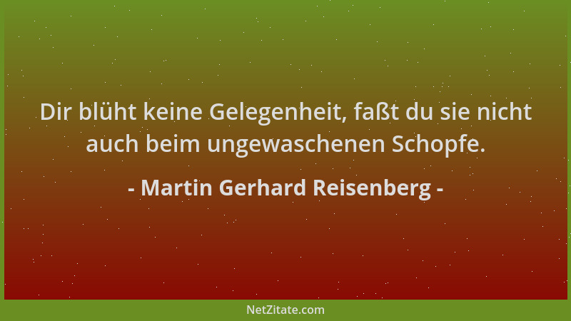 Martin Gerhard Reisenberg - Dir blüht keine Gelegenheit, faßt du sie nicht auch beim ungewaschenen Schopfe....