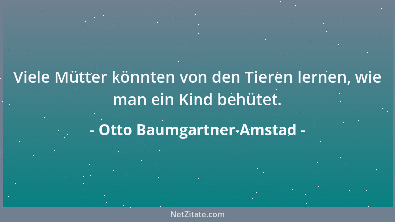 Otto Baumgartner-Amstad - Eine Schneeflocke macht noch keine weiße Landschaft....