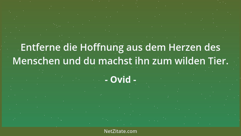 Ovid - Entferne die Hoffnung aus dem Herzen des Menschen und du machst ihn zum wilden Tier....