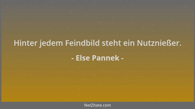 Else Pannek - Hinter jedem Feindbild steht ein Nutznießer....