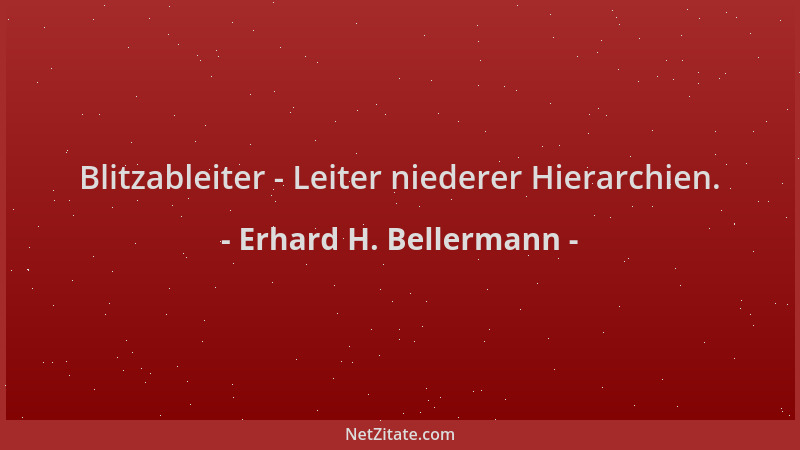 Erhard H. Bellermann - Blitzableiter - Leiter niederer Hierarchien....