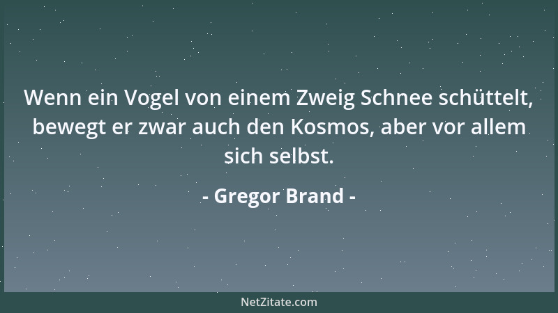 Gregor Brand - Wenn ein Vogel von einem Zweig Schnee schüttelt, bewegt er zwar auch den Kosmos, aber vor allem sich selbst....