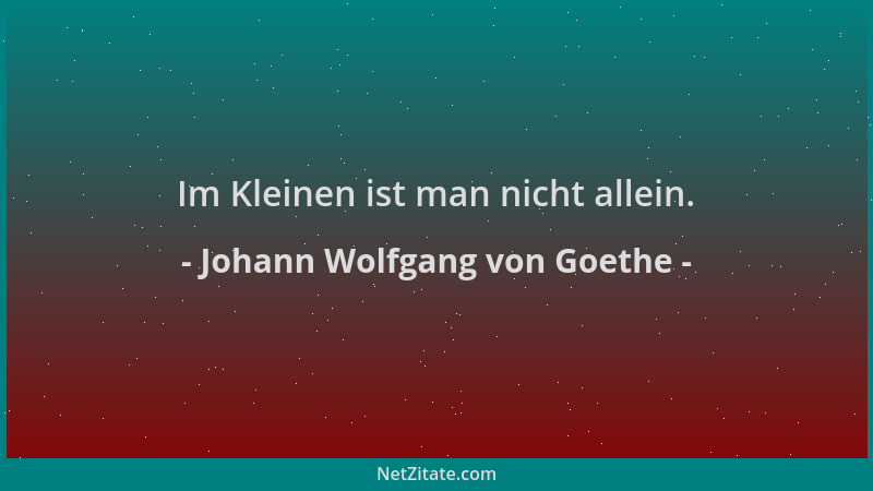 Johann Wolfgang von Goethe - Im Kleinen ist man nicht allein....