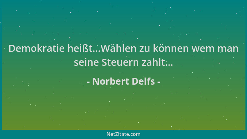 Norbert Delfs - Demokratie heißt...Wählen zu können wem man seine Steuern zahlt......