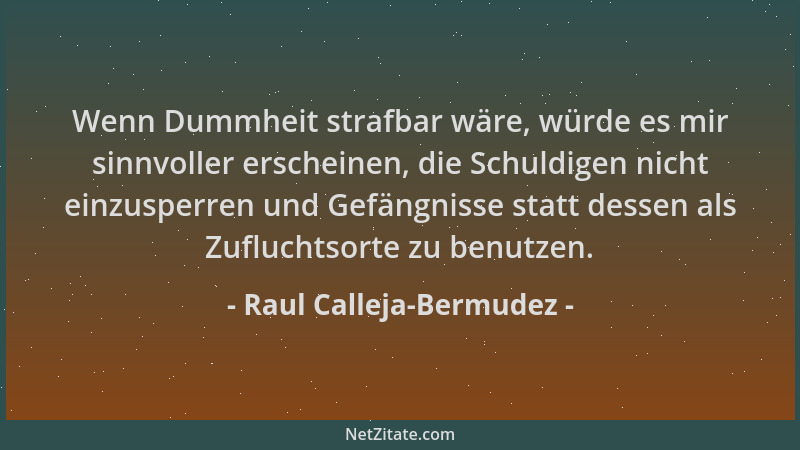 Raul Calleja-Bermudez - Wenn Dummheit strafbar wäre, würde es mir sinnvoller erscheinen, die Schuldigen nicht einzusperren...