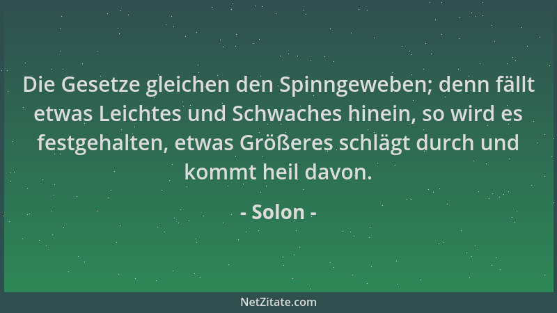 Solon - Die Gesetze gleichen den Spinngeweben; denn fällt etwas Leichtes und Schwaches hinein, so wird es festgehalten, etw...