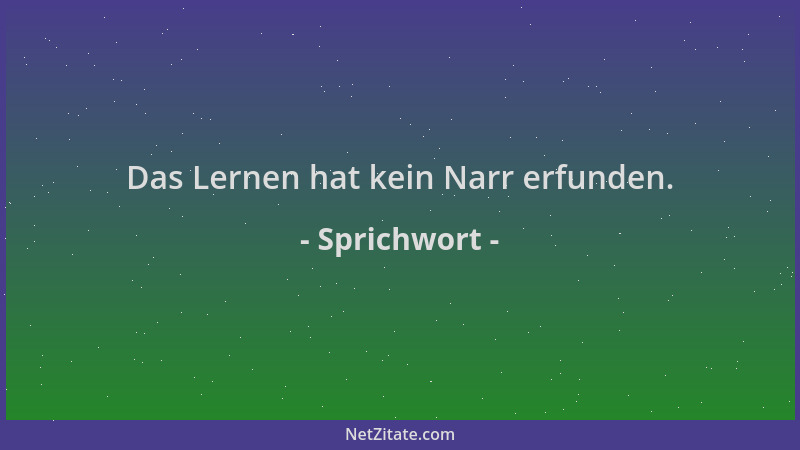 Sprichwort - Das Lernen hat kein Narr erfunden....