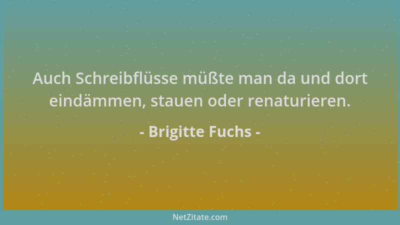 Brigitte Fuchs - Auch Schreibflüsse müßte man da und dort eindämmen, stauen oder renaturieren....