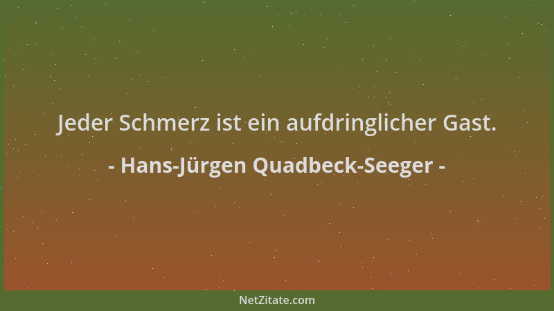 Hans-Jürgen Quadbeck-Seeger - Jeder Schmerz ist ein aufdringlicher Gast....