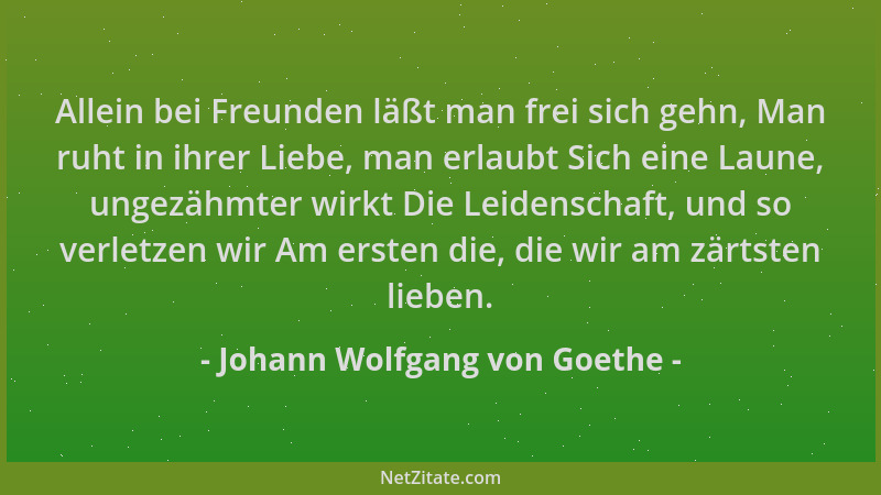Johann Wolfgang von Goethe - Allein bei Freunden läßt man frei sich gehn, Man ruht in ihrer Liebe, man erlaubt Sich eine La...