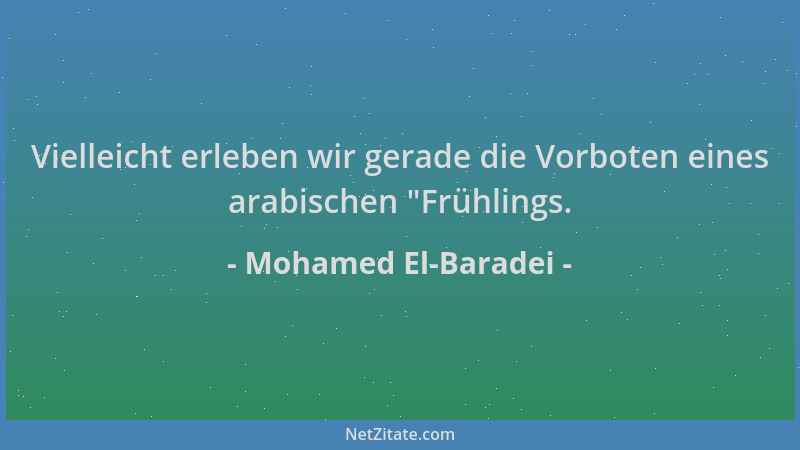 Mohamed El-Baradei - Vielleicht erleben wir gerade die Vorboten eines arabischen  "Frühlings....