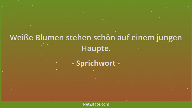 Sprichwort - Weiße Blumen stehen schön auf einem jungen Haupte....