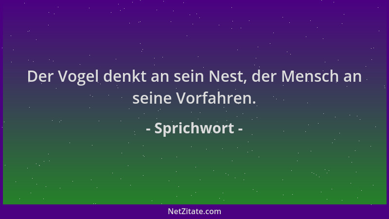 Sprichwort - Der Vogel denkt an sein Nest, der Mensch an seine Vorfahren....
