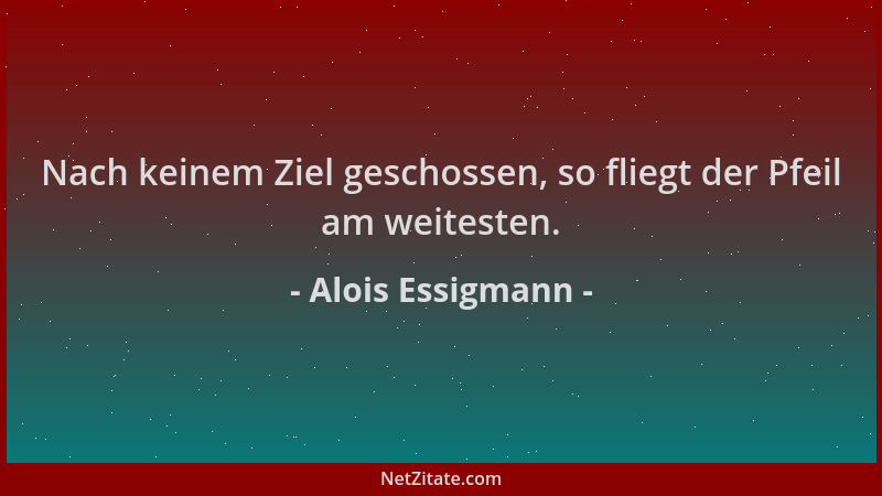 Alois Essigmann - Nach keinem Ziel geschossen, so fliegt der Pfeil am weitesten....