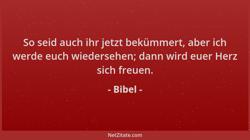 Bibel - So seid auch ihr jetzt bekümmert, aber ich werde euch wiedersehen; dann wird euer Herz sich freuen....