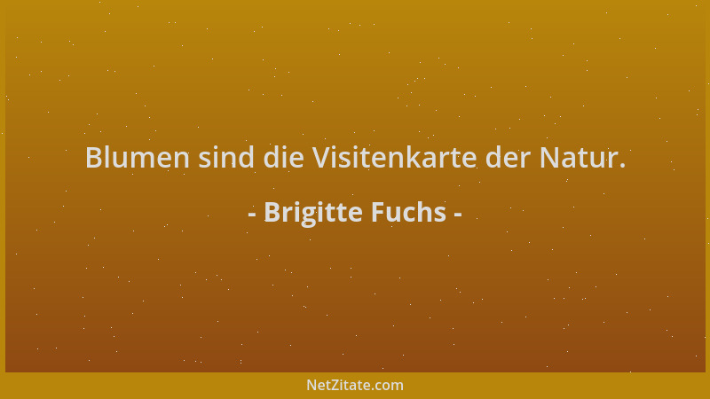 Brigitte Fuchs - Blumen sind die Visitenkarte der Natur....