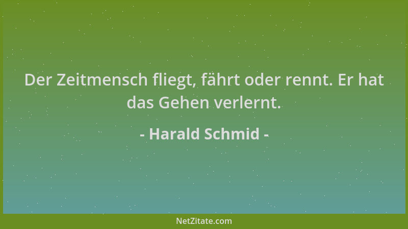 Harald Schmid - Der Zeitmensch fliegt, fährt oder rennt. Er hat das Gehen verlernt....