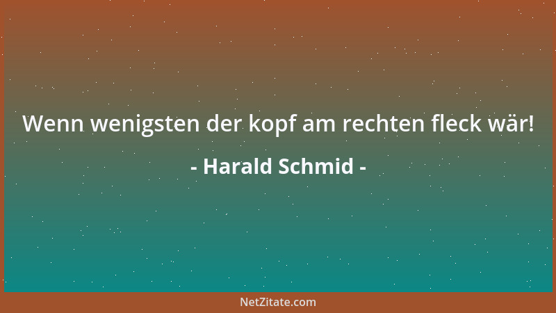 Harald Schmid - Wenn wenigsten der kopf am rechten fleck wär!...
