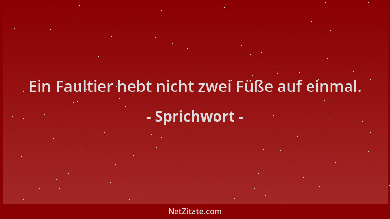 Sprichwort - Ein Faultier hebt nicht zwei Füße auf einmal....