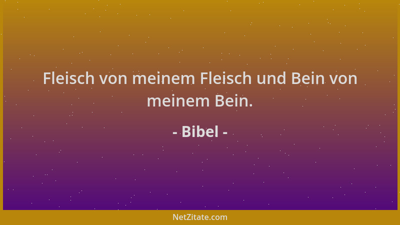 Bibel - Fleisch von meinem Fleisch und Bein von meinem Bein....
