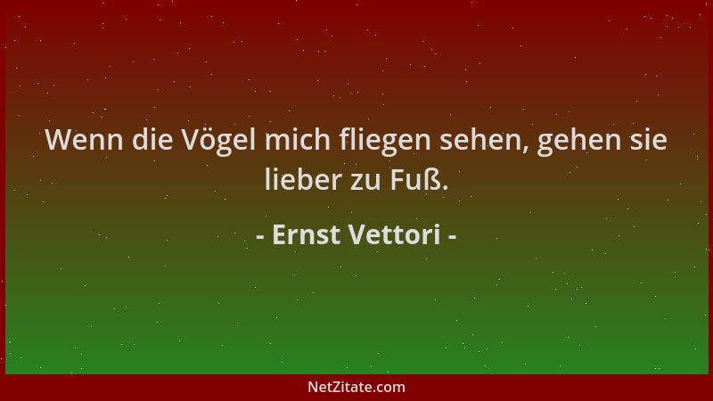 Ernst Vettori - Wenn die Vögel mich fliegen sehen, gehen sie lieber zu Fuß....